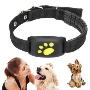 GPS pet collar for dogs and cats real time tracking adjustable smart pet tracker