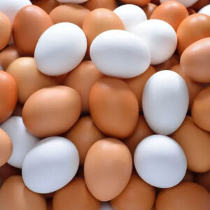 Fresh organic white and brown eggs farm fresh premium quality table eggs wholesale supply Healthy white and brown organic eggs in tray packaging for supermarkets and food distribution Premium farm fresh organic chicken eggs white and brown shell wholesale export quality Natural fresh organic eggs high protein white and brown table eggs for retail and wholesale Fresh brown and white chicken eggs organic farm quality packed for international export Wholesale organic white and brown eggs premium fresh poultry products for supermarkets Farm raised fresh organic eggs white and brown shell healthy nutritious table eggs Export quality organic eggs white and brown fresh poultry eggs in commercial packaging Fresh table eggs organic white and brown chicken eggs for restaurants supermarkets and catering Premium healthy organic eggs bulk wholesale white and brown shell poultry products
