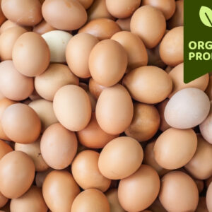 Certified organic eggs in a cardboard carton with USDA Organic label and green grass background