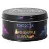 Trifecta Pineapple Guava hookah tobacco – Blonde Leaf series packaging, fresh pineapple slices and guava halves, tropical leaves, and a hookah pipe on a bright summer background