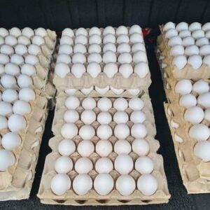 Fresh organic white and brown eggs farm fresh premium quality table eggs wholesale supply Healthy white and brown organic eggs in tray packaging for supermarkets and food distribution Premium farm fresh organic chicken eggs white and brown shell wholesale export quality Natural fresh organic eggs high protein white and brown table eggs for retail and wholesale Fresh brown and white chicken eggs organic farm quality packed for international export Wholesale organic white and brown eggs premium fresh poultry products for supermarkets Farm raised fresh organic eggs white and brown shell healthy nutritious table eggs Export quality organic eggs white and brown fresh poultry eggs in commercial packaging Fresh table eggs organic white and brown chicken eggs for restaurants supermarkets and catering Premium healthy organic eggs bulk wholesale white and brown shell poultry products